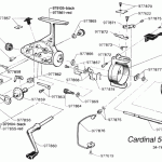 CARDINAL 562(85-1)