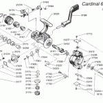 CARDINAL 653GT(87-0)