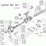 CARDINAL 953(85-1)