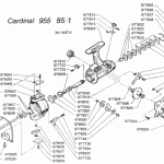 CARDINAL 955(85-1)